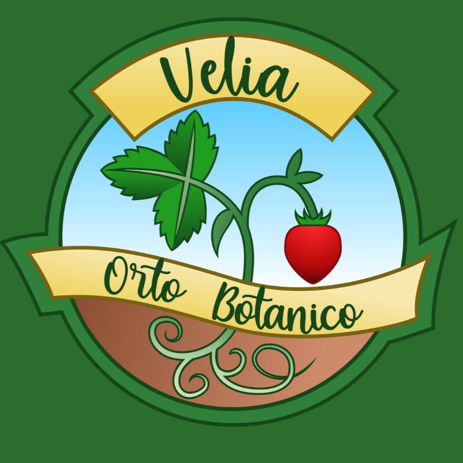 Velia Orto Botanico